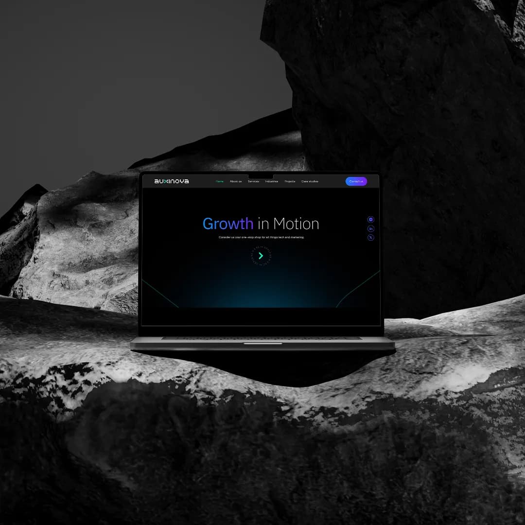 Auxinova homepage showing growth-led design